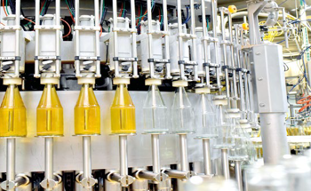 Ensuring Purity and Hygiene in Food Production