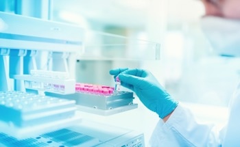 How Does a CHNSO Analyzer Work?