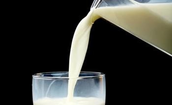 Unveiling the Complex World of Dairy Proteins and the Cutting-Edge Technology Transforming Protein Analysis