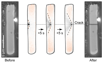 Charge Photometry for Unlocking Rapid Development and Screening of Novel Battery Materials