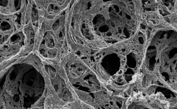 Gas Sorption Analysis of Porous Materials