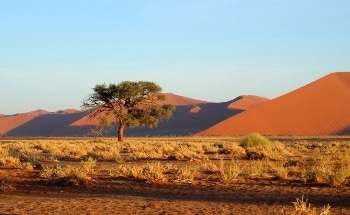 Analyzing Dryland Nitrogen Emissions