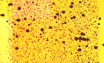 Enhanced Characterization of OLED Optoelectronic Properties Using Confocal Microscopy