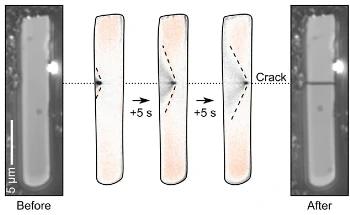 How can Charge Photometry be Used for Battery Screening and Development?