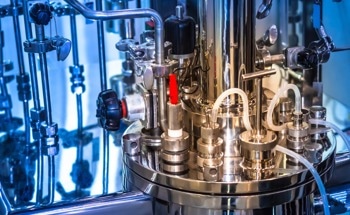 Materials Science in Fermentation Processes