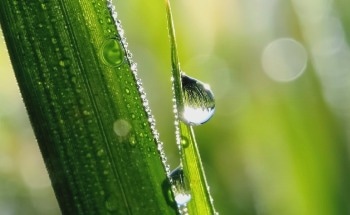 Creating Superhydrophobic Surfaces with Plasma Treatment