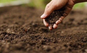 Determining 31 Elements in Soil