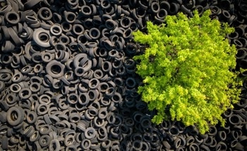 The Role of Rubber in Next-Generation Energy Storage Systems