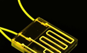 Harnessing Microfluidic Technology for Heavy Metal Analysis