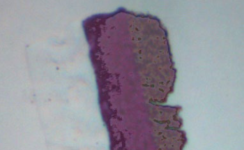 Color Analysis: Microspectrophotometry in Forensic Paint Chip Examination