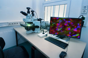 Absorption vs. Interference Optical Filters: Materials and Functionality