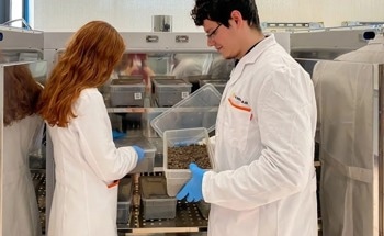 Understanding the Plastic Biodegradation Process