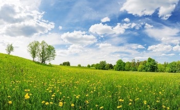 Streamline Your Air Quality Monitoring with iQ Monitors