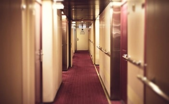 The Role of Carpet Tapes in Mass Transportation