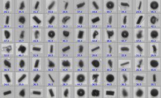 Exploring the Impact of Particle Shape on Performance