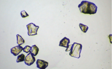 The Differences in Particle Measurement Technologies