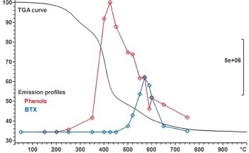Exploring Thermogravimetry and Gas Analysis