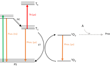 Studying Triplet States and Singlet Oxygen Generation in Photosensitizers