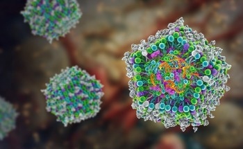 Breakthrough Advances in Lipid Nanoparticle Characterization