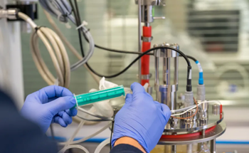 How is Biotechnology Applied in the Plastics Sector?