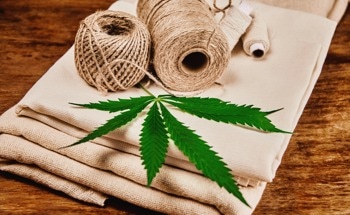 Is Hemp Fabric Better Than Cotton?