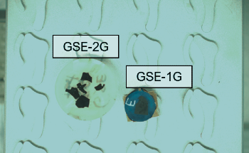 Advances in Mass Spectrometry for Quantifying Trace Elements in Solid Materials