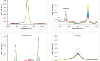 Improving Natural Gas Analysis with In-Situ Raman Spectroscopy