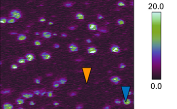 How Photothermal AFM-IR Reveals Hidden Details in Polymer Blends