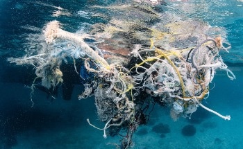 Rapid Identification of Fishing Gear Polymers Using Raman Spectroscopy