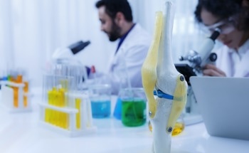 Bioceramics in Medicine: Current Developments and Future Perspectives