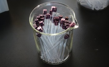 Exploring Everyday Polymers Through NMR Technology