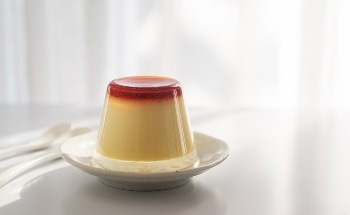 Characterizing Pudding Using Rheology
