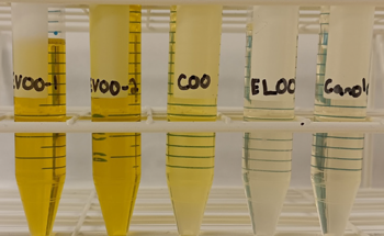Quality Analysis of Olive Oil Purity