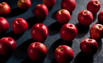 Why Nondestructive Fruit Quality Testing Matters for Growers