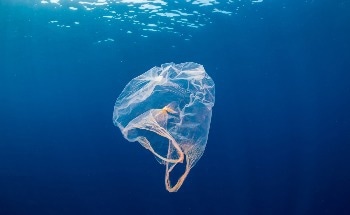 Recycling Plastic Waste Through Extrusion: A Closer Look at Mechanical Processing of Marine Plastics