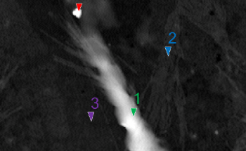 Combining STEM and PiFM for Nanoscale Material Analysis