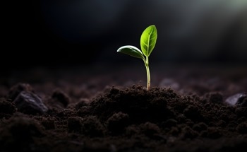 Plant-Based Catalysts for More Sustainable Reactions