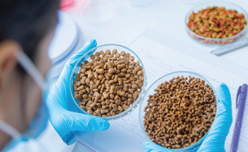 How to Ensure Pet Food Safety