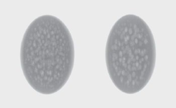 AI in Food Production