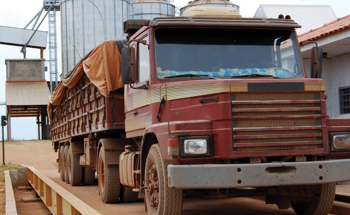 How to Measure Oil and Water in Seeds Using ISO 10565