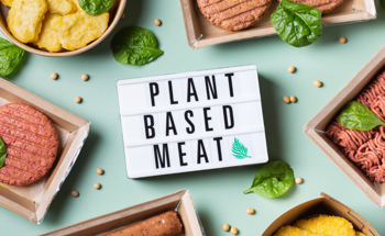 Unlocking Cooking Dynamics in Plant-Based Burgers Using Time Domain NMR