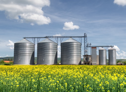 A cost benefit analysis: Optimizing seed oil yield by in-process testing using MQC+ Oilseed Analyzer