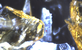 Advancing Forensic Glass Analysis with Micro-XRF Technology