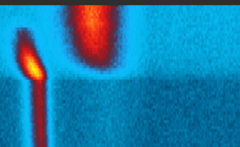 Exploring Catalysis and Materials Under Real-World Conditions with High-Pressure Photoelectron Spectroscopy
