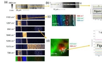 The Chemical and Structural Study of Multilayer Packaging Films