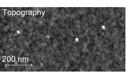 Chemical Mapping of Self Assembled Monolayers Using PiFM