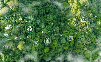 Advancing Sustainable Industries Through Innovative Gas Analysis