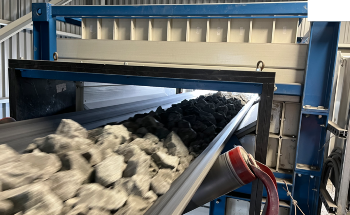 Unlocking Process Optimization with Prompt Gamma Neutron Activation Analysis (PGNAA)