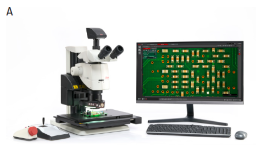 Why Microscope Calibration Matters for Measurement Accuracy