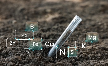 ELTRA Solutions for Reliable Elemental Analysis at Every Stage